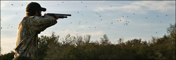 More Uruguay dove shooting