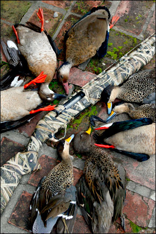 Spring Wingshooting in Argentina at Los Laureles 2 5 species ducks