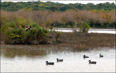 Spring Wingshooting in Argentina at Los Laureles 6 Duck spread