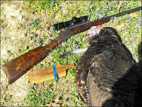 The Hell Hole Bird 5 HellHole 2