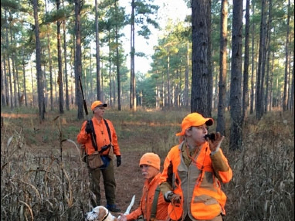 The CZ Upland Ultralight Green for Good