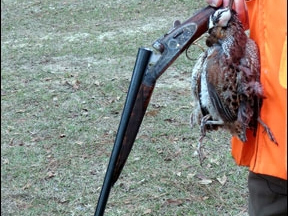 The Thomas Ferney Type-1 Side by Side Meets the Wild Quail of Sinkola Plantation