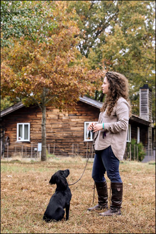How Living With a Labrador Retriever in Brooklyn, New York Inspired Me to Start Girls With Gundogs 4 LL and Quail