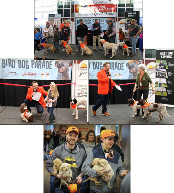 Anna Van Nostrand on the Big 2018 Pheasant Fest and Quail Classic 2 Dog Parade