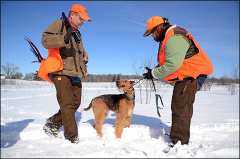 Three Sporting Dogs That Will Rock Your World 4 Purina 4