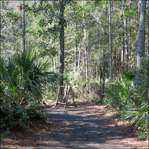 Local Heroes Dawn Grant and Jimmy Muller Rescue Local Clays Club 9 IMG 6274