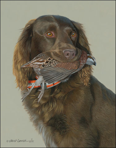Hank with Quail