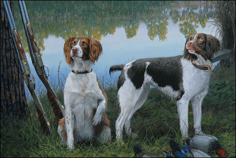 Springers and Purdeys