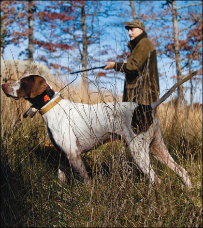 Famars Guns of Italy Gets an American Makeover 2 Paul dog