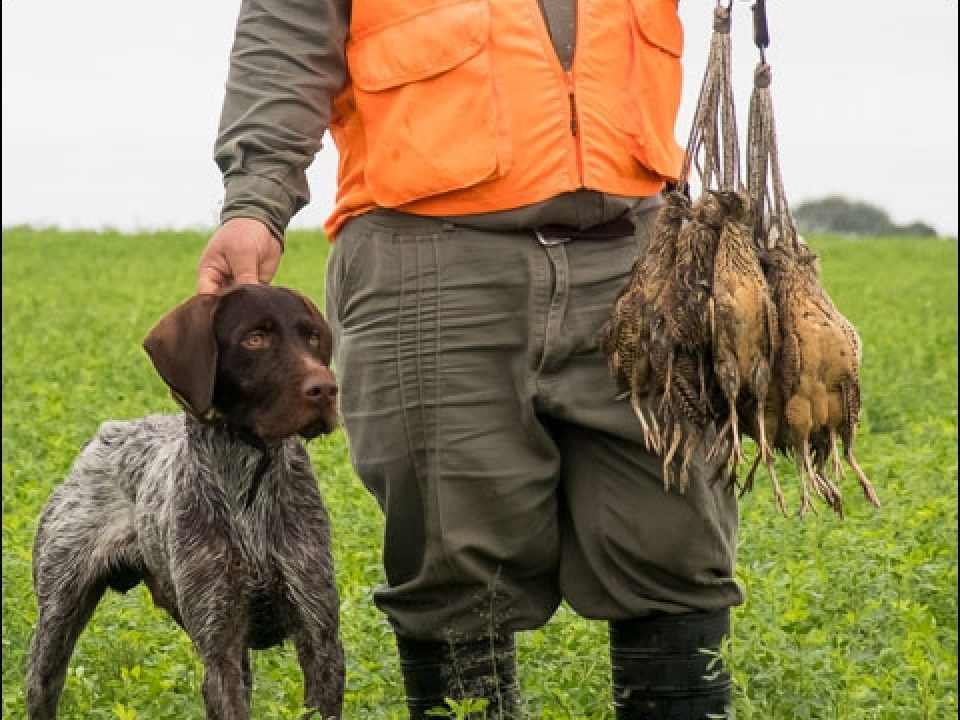 Los Laureles Lodge Delivers the Argentina Dream of Doves, Ducks and Perdiz