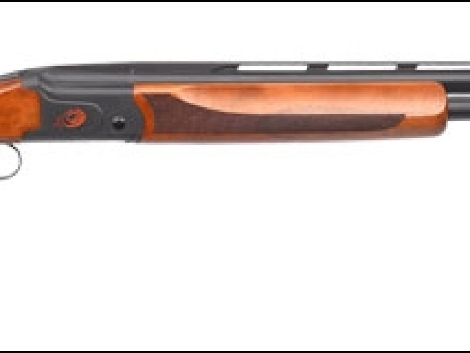 Pointer Shotguns’ Big Selection of Affordable Youth Models is Quietly Drawing More Kids into Wing and Clays Shooting