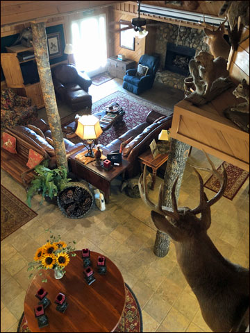 Women Who Build Legacies in South Georgia Quail Country 13 IMG 1595