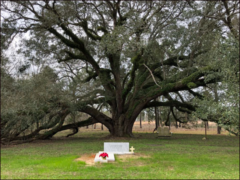 Women Who Build Legacies in South Georgia Quail Country 11 IMG 1637