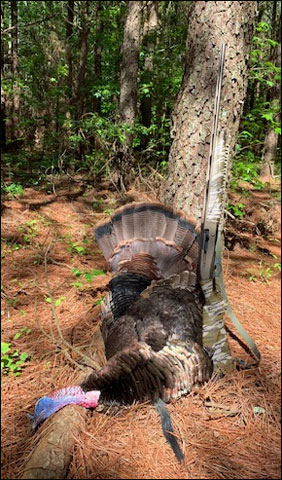 tom by pine with 410 mossy 0871 002