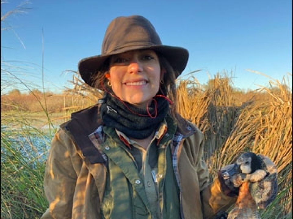 A First-Timer Wingshooter in Argentina at Los Laureles Lodge