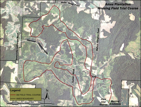 Preparing the Legendary Ames Plantation for the 121st National Championship for Bird Dogs 3 2019 morning course