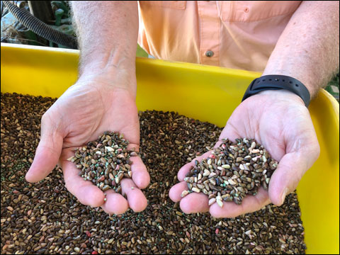 Preparing the Legendary Ames Plantation for the 121st National Championship for Bird Dogs 9 IMG 2340