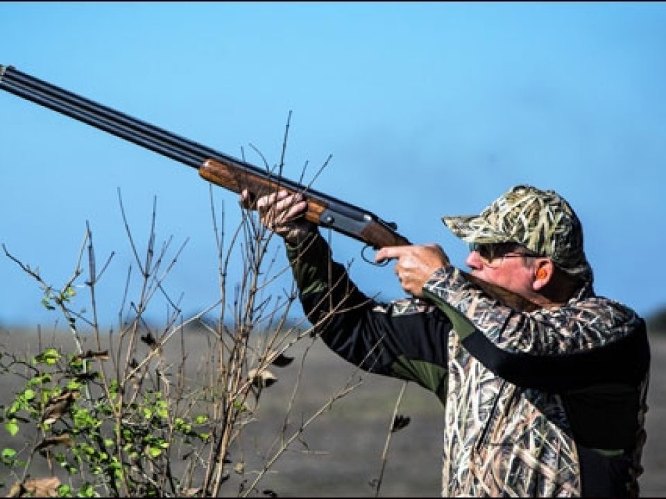 How Electronic Shooters Protection Improves Your Shooting – A First-Hand Account