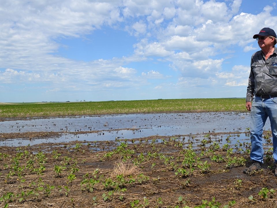 Delta Waterfowl’s ‘Working Wetlands’ Makes Conservation History as Enrollments Open