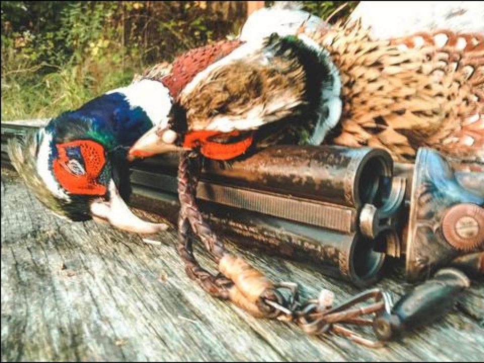 The Hunt for Tradition