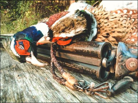 ac4dbc5bf3793d268025746e30ceec34