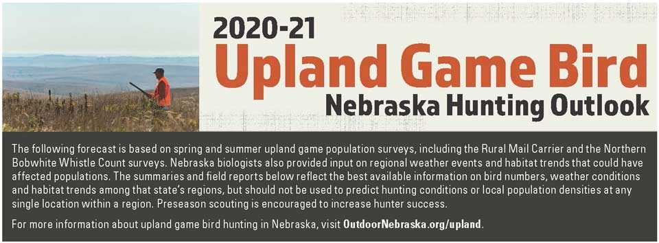 2020-2020 Upland Game Bird Nebraska Hunting Outlook 1 5189f3286915715b50cff89ddded1008