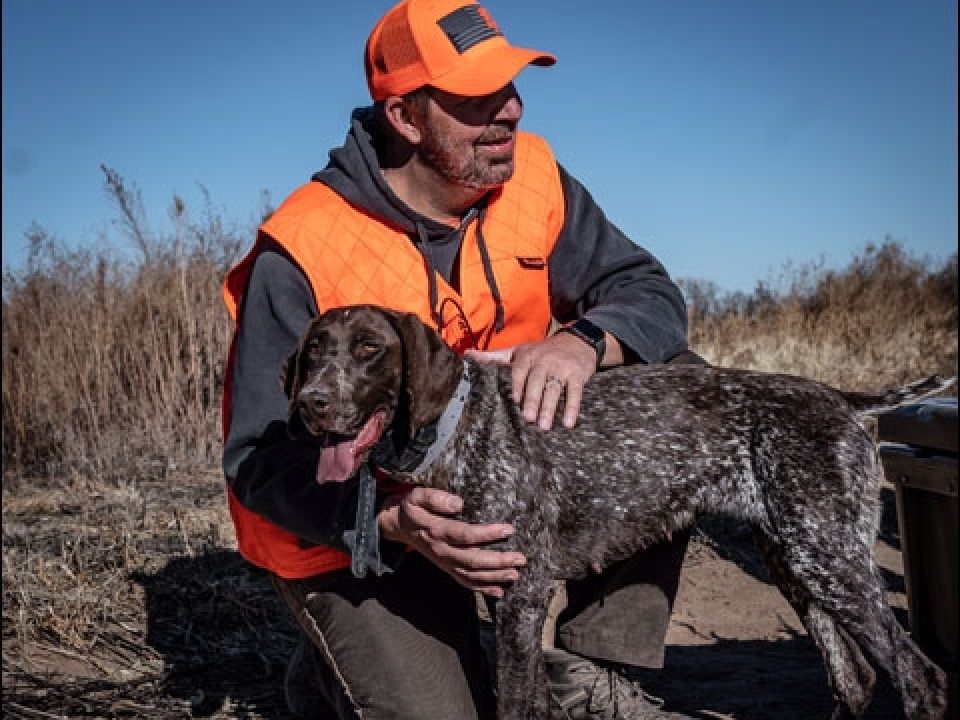The New Southern Bird Hunters Association Aims to Amp Up Field Trials