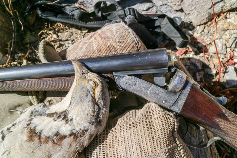 Cogswell 16 and snowcock