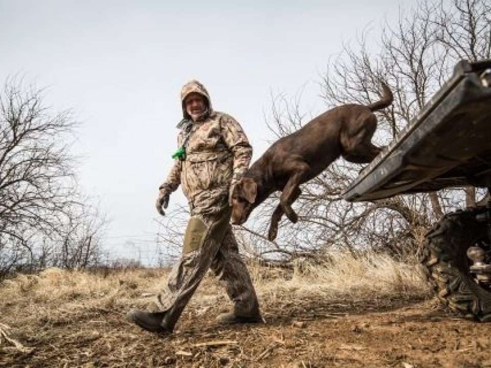 Help Unleash Your Sporting Dog’s Potential