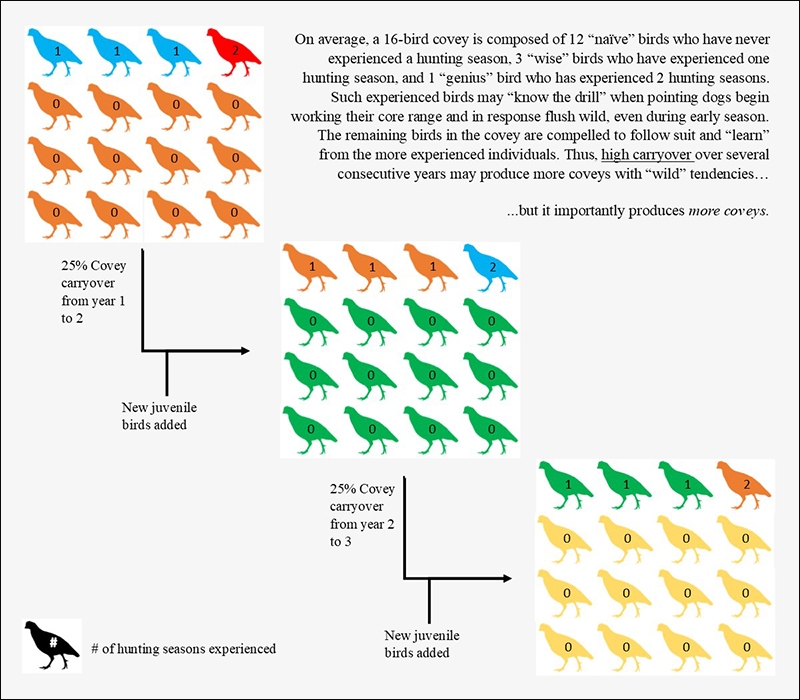It was a great wild quail hunting season 1 c5c0a28a3994ca1491828123987c79bf