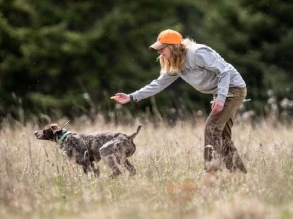 Preseason Training Tips from the Pros