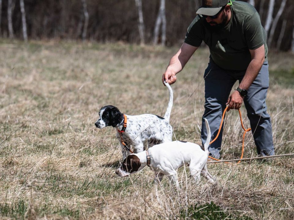 Preseason Training Tips from the Pros – Part 2