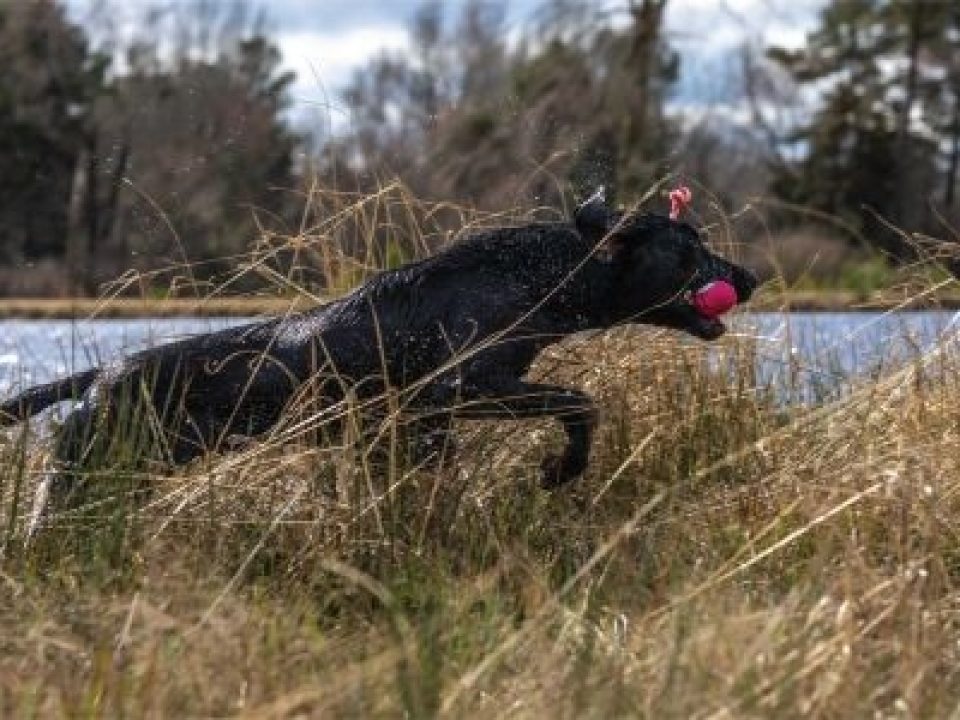 Final Preseason Training Tips from the Pros