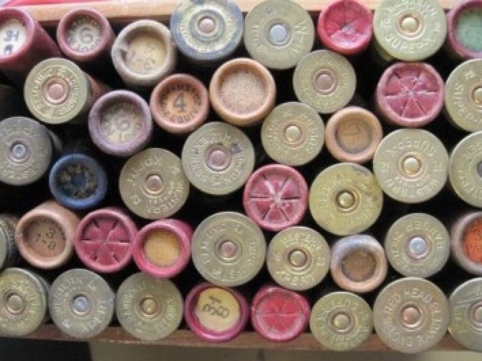 6 Fine-Print Reasons for Insuring Your Shotgun. Part 3: Oops! Wrong Ammo