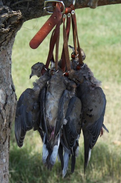 Hanging doves 2