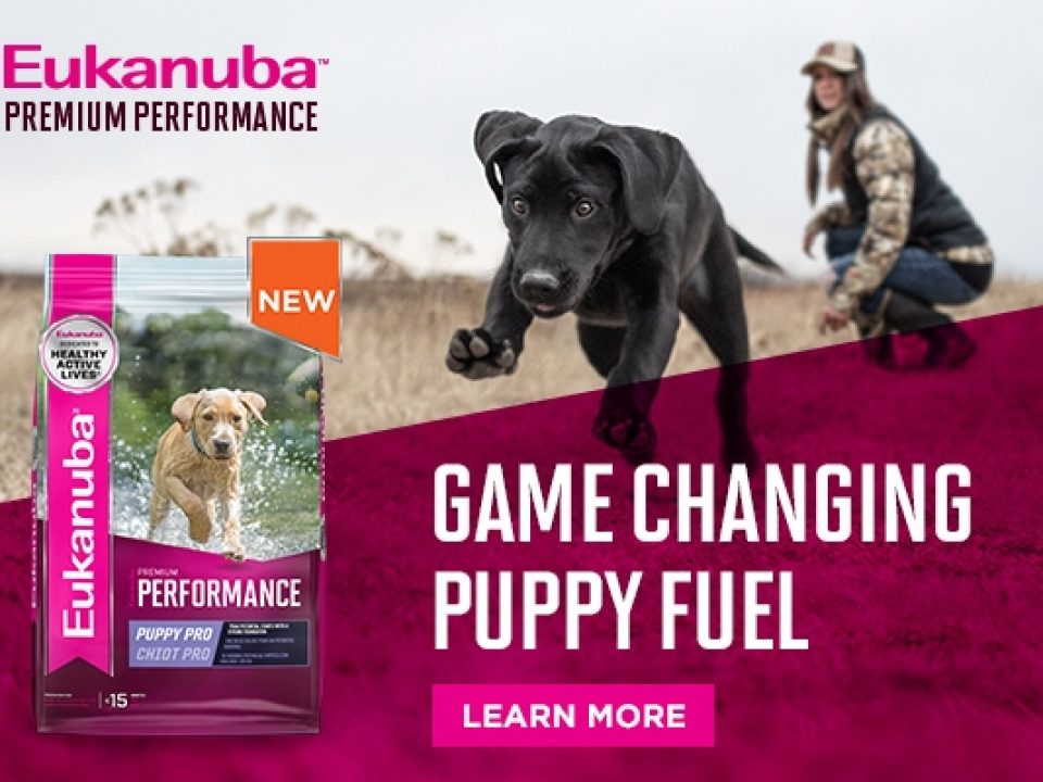 EUKANUBA™ LAUNCHES PREMIUM PERFORMANCE PUPPY PRO, NUTRITION FORMULATED TO SUPPORT THE GROWTH AND DEVELOPMENT NEEDS OF HIGHLY ACTIVE PUPPIES
