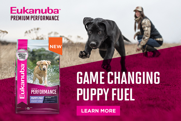 EUKANUBA™ LAUNCHES PREMIUM PERFORMANCE PUPPY PRO, NUTRITION FORMULATED TO SUPPORT THE GROWTH AND DEVELOPMENT NEEDS OF HIGHLY ACTIVE PUPPIES 2 EUK Puppy Ad Real