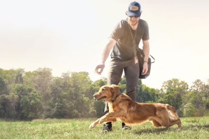 319ff947d1e8d3f27976610814ba3f98