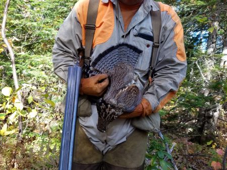 The Parker VH Project: Repair, Restore or Refurbish? 7 2017