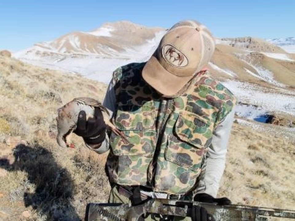 Garhart Stephenson’s Guide to Successful Chukar Hunting