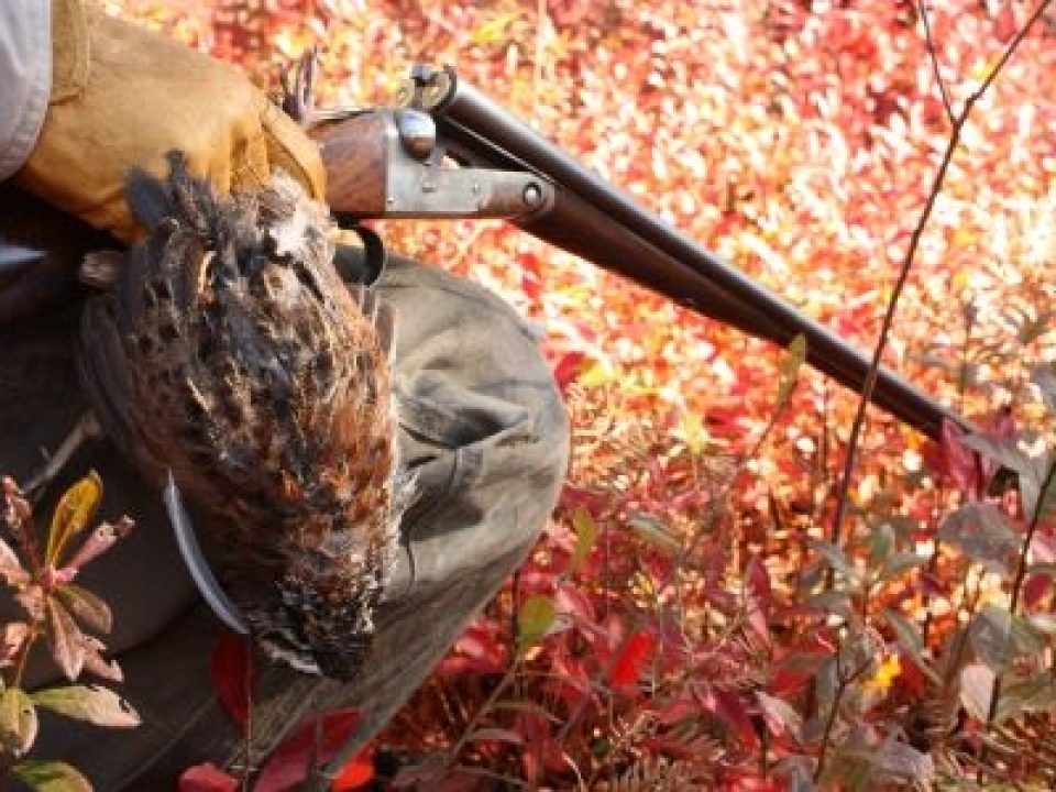 The Parker VH Project: Repair, Restore or Refurbish?