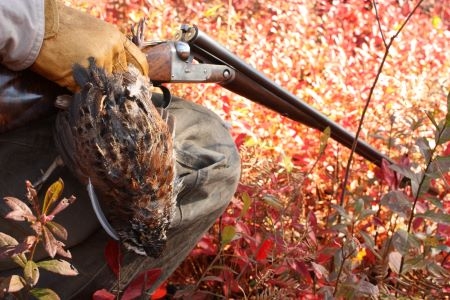 7586bcdd7a745d843a3897512742ccdb