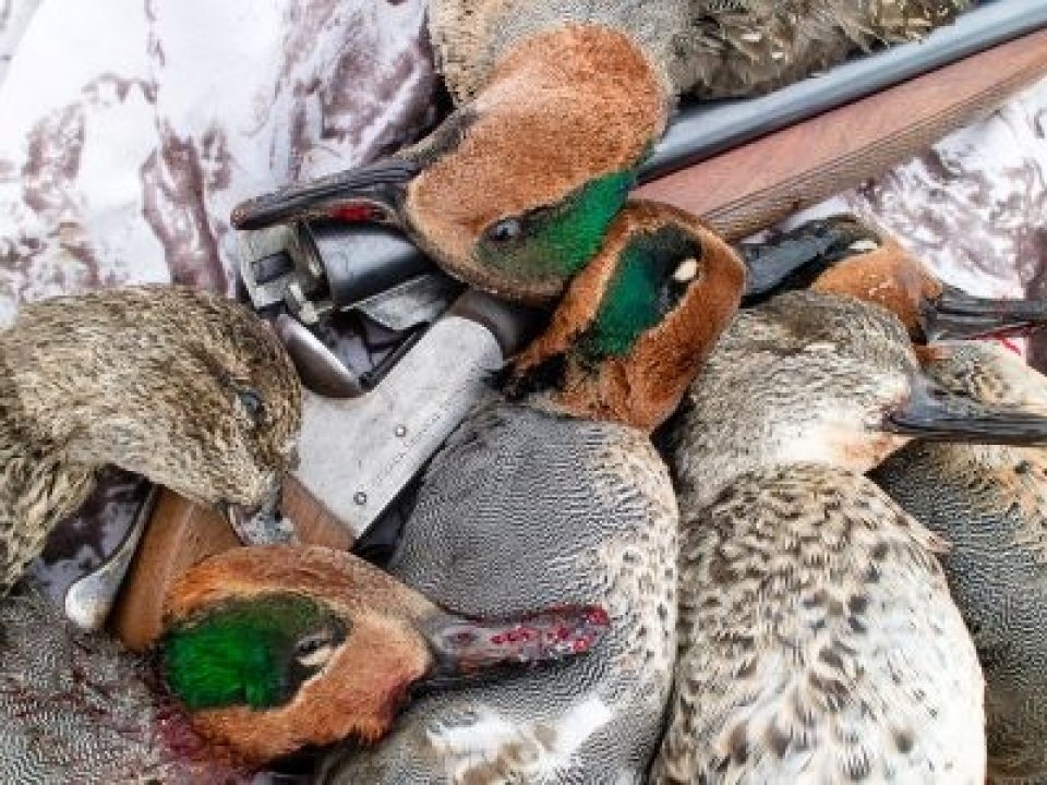 Pursuing a Nebraska Mixed Bag