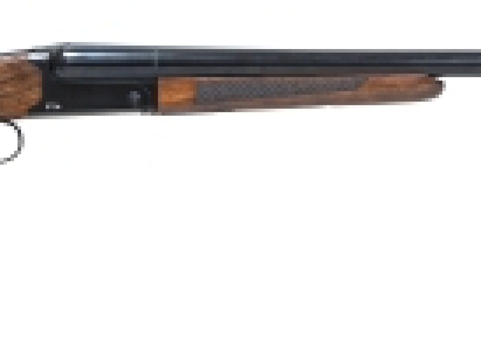 New Pointer Side by Side Priced at $699