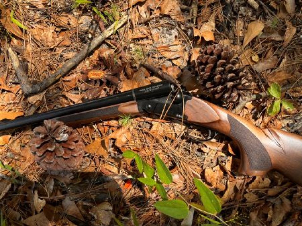 The New Pointer Side by Side is a Bargain-Priced Modern Classic