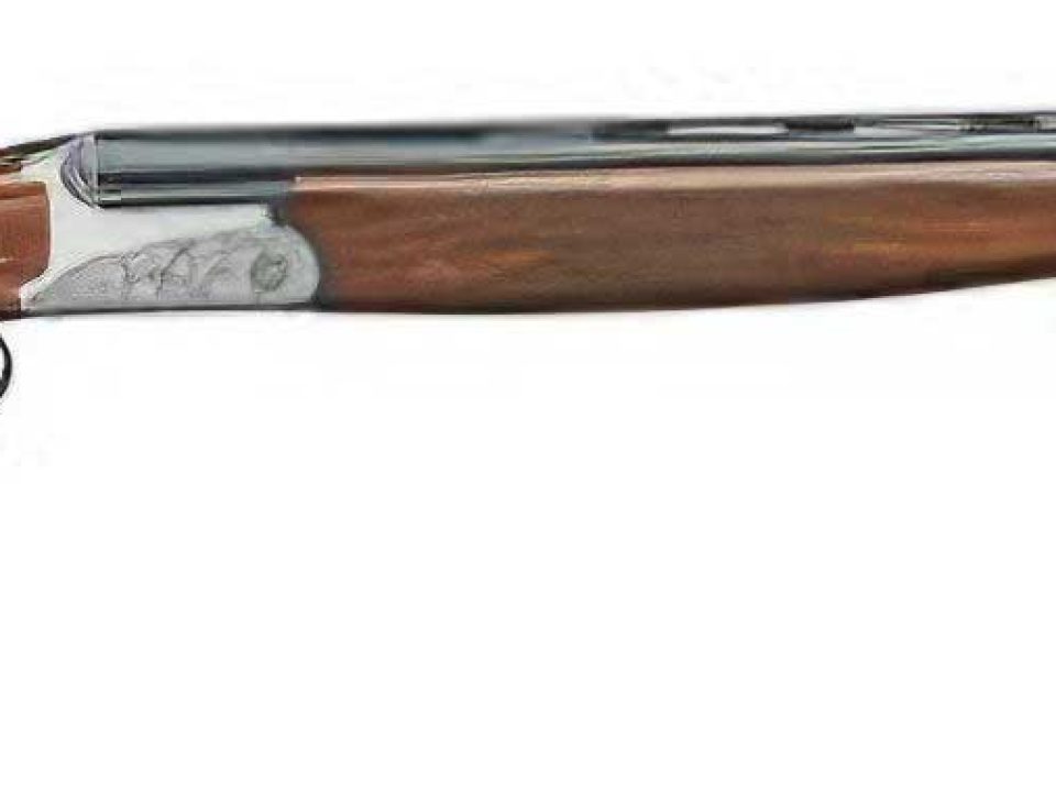 The Affordable Fausti Caledon Shoots Above Its Class