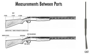 Shotgun fit: Measurements between parts