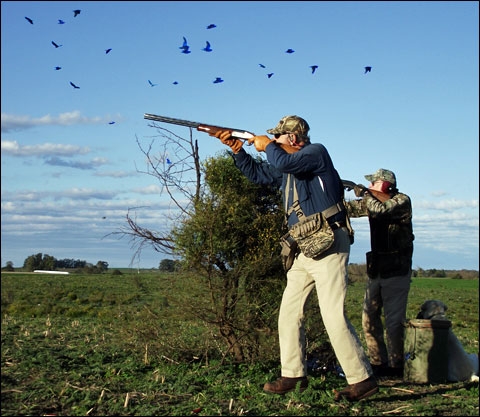 With a New Shell Shortage in Argentina, Timing Your Trip is More Important Than Ever 2 Wiles 2