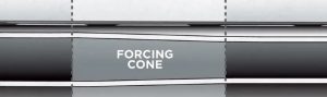 forcing cones 1