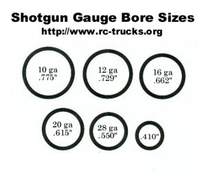 Shotgun Shell Gauges: Unraveling the Key Differences 1 shells 1